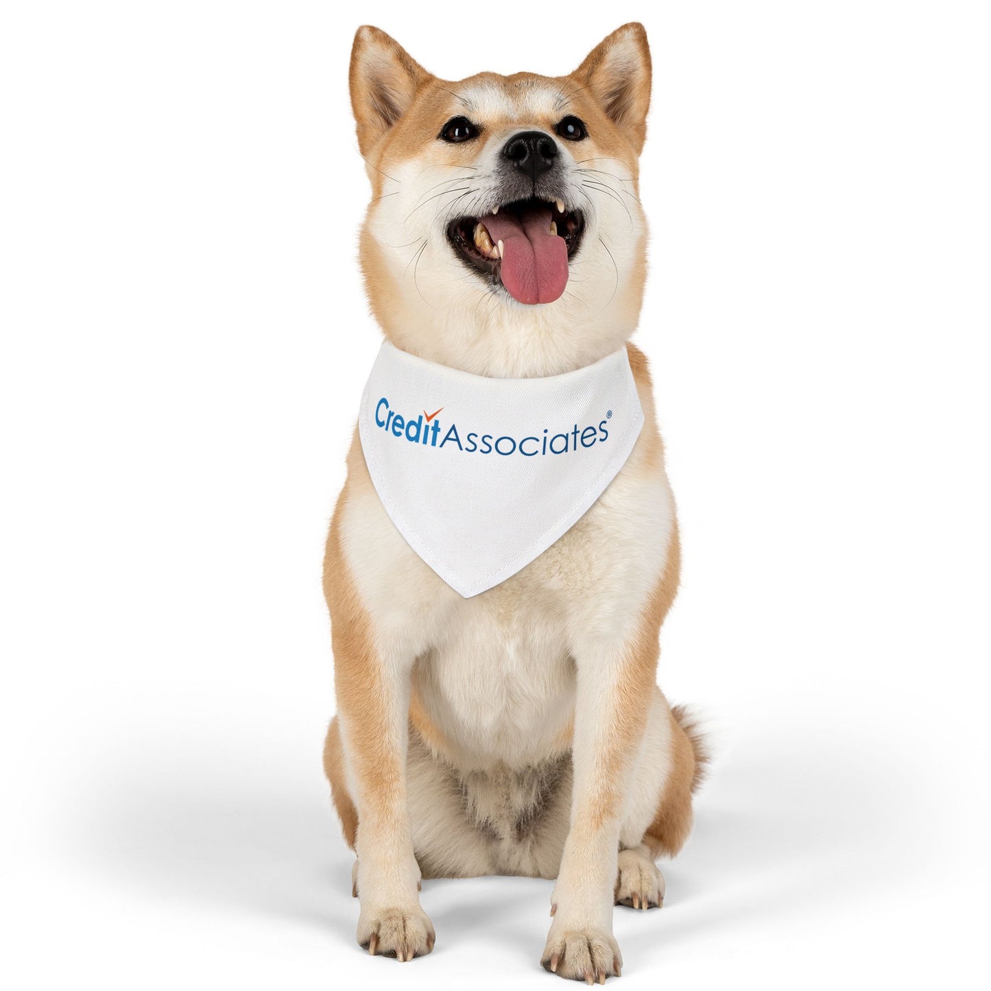 Pet Bandana Collar - Credit Associates