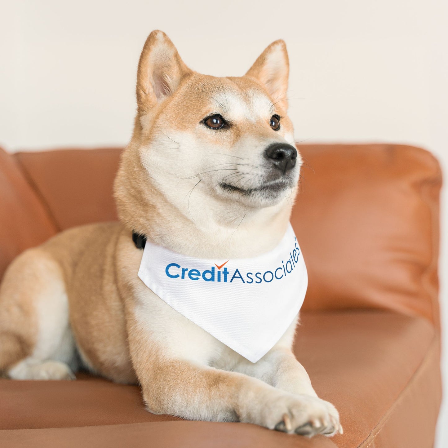 Pet Bandana Collar - Credit Associates