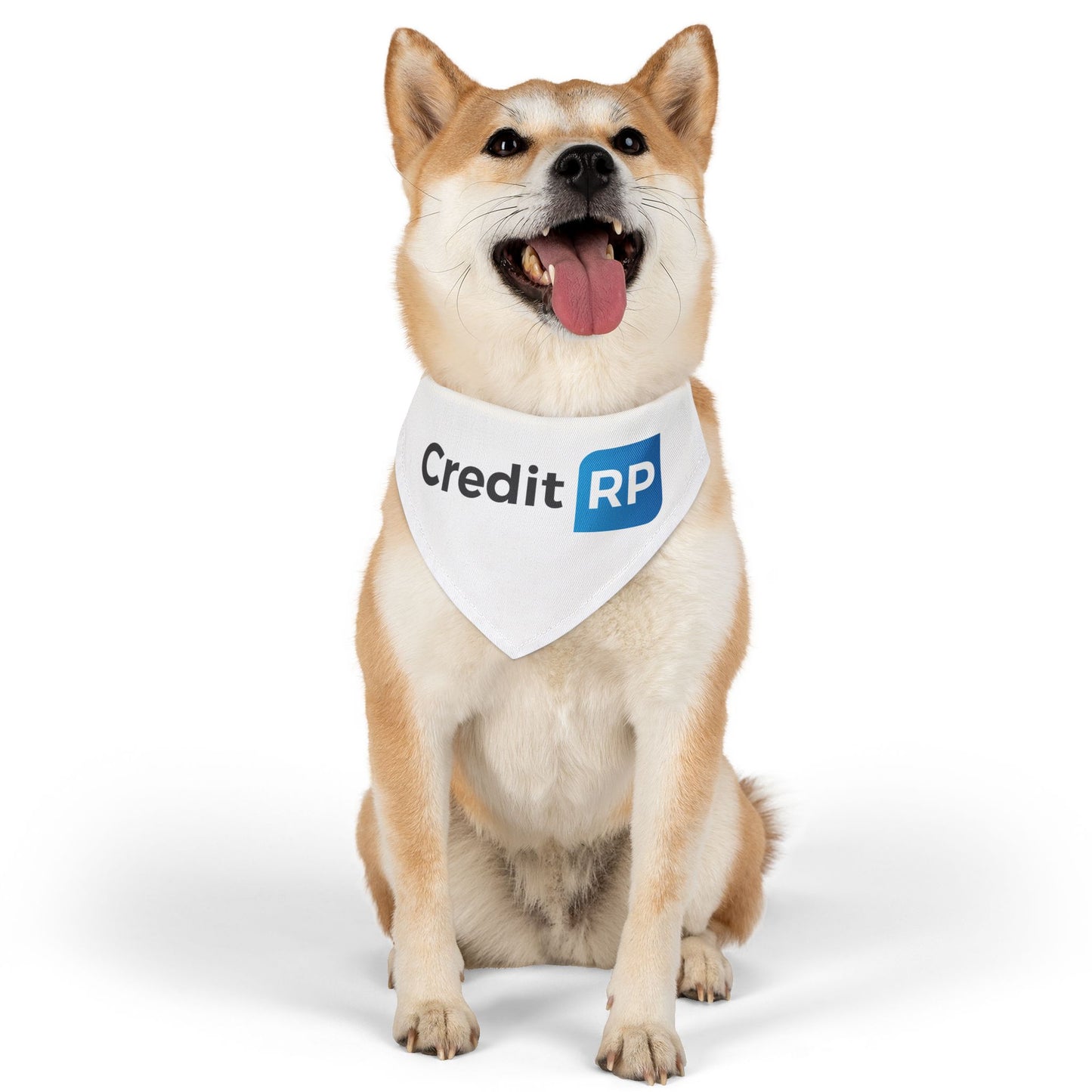 Pet Bandana Collar - Credit RP